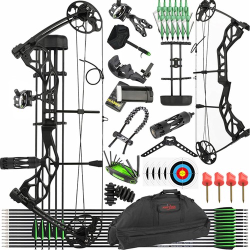 Compound bow arrow - arrow, set
